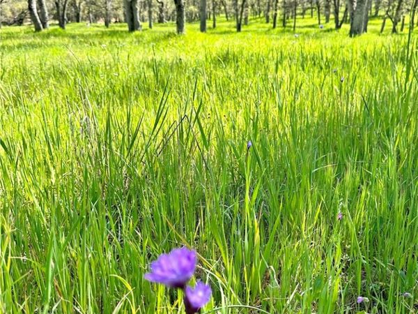 18461 Old Wards Ferry Road, Sonora, CA 95370