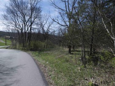 0 Davis Turkey Foot Road, Sadieville, KY 40370