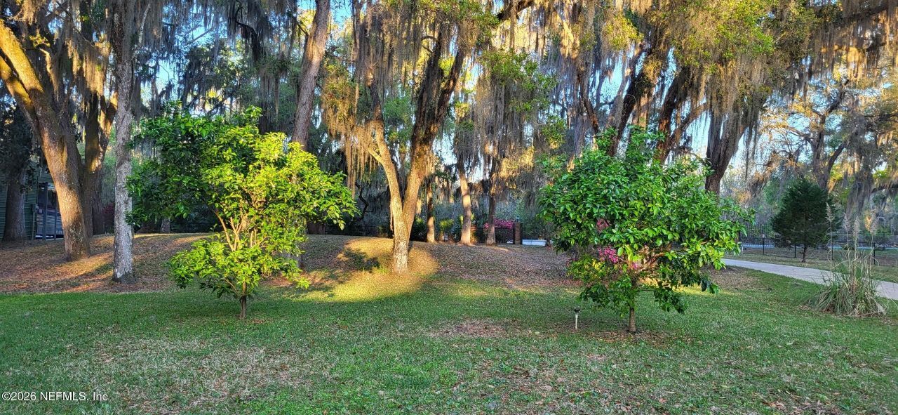 524 Cedar Creek Road, Palatka, FL 32177 Photo