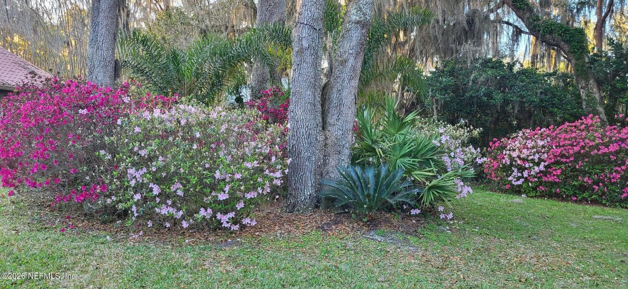 524 Cedar Creek Road, Palatka, FL 32177 Photo