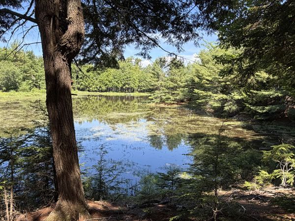 40 Benjamin Way, Waltham, ME 04605