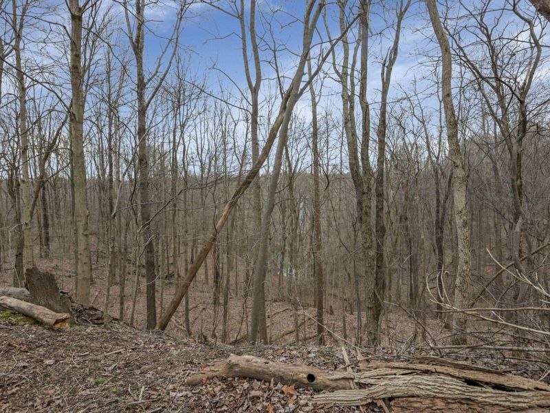 5755 Township Road 162 NE, New Lexington, OH 43764 Photo 50