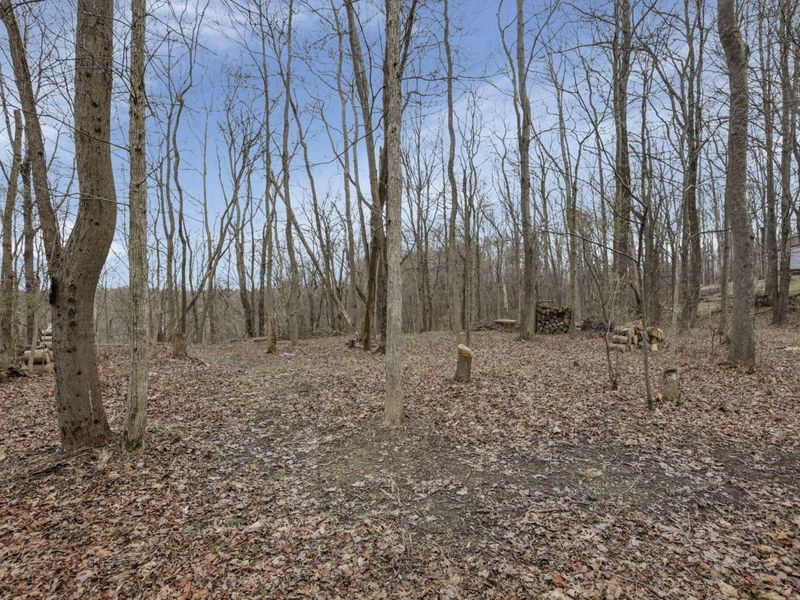 5755 Township Road 162 NE, New Lexington, OH 43764 Photo 51