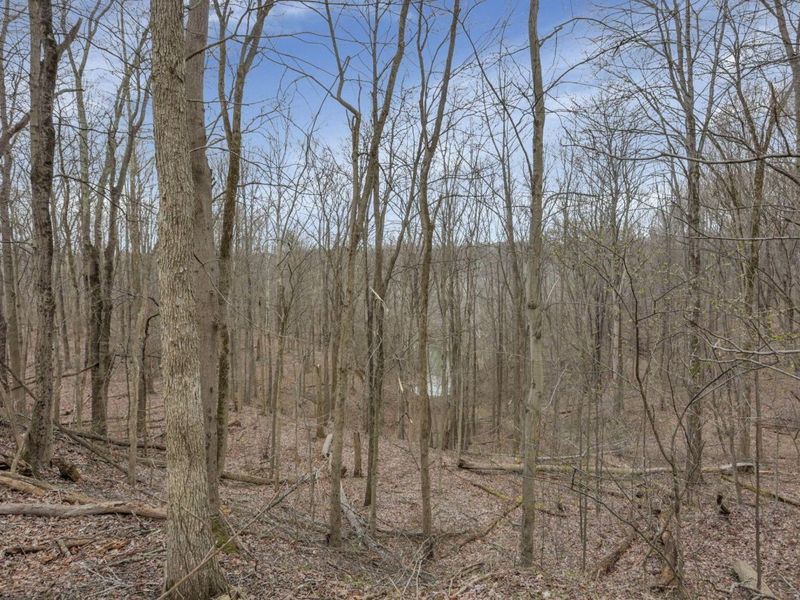 5755 Township Road 162 NE, New Lexington, OH 43764 Photo 72