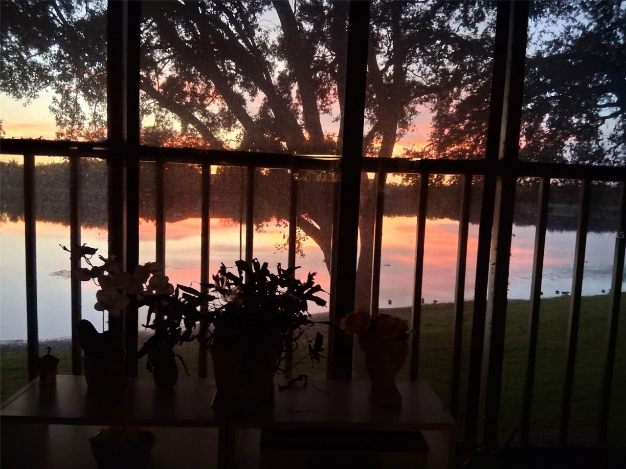 2070 Lakeview Drive, Unit 204, Clearwater, FL 33763 Photo