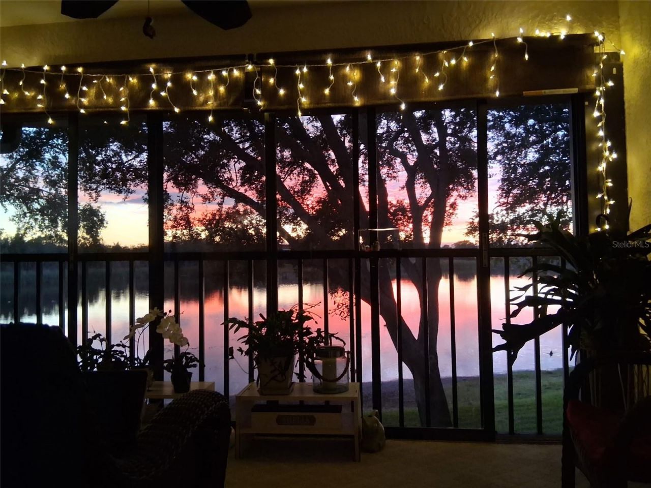 2070 Lakeview Drive, Unit 204, Clearwater, FL 33763 Photo