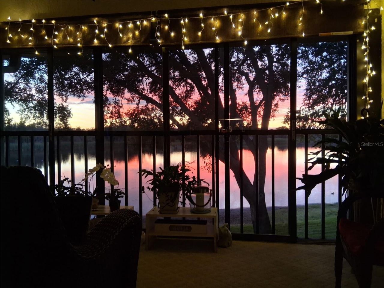 2070 Lakeview Drive, Unit 204, Clearwater, FL 33763 Photo