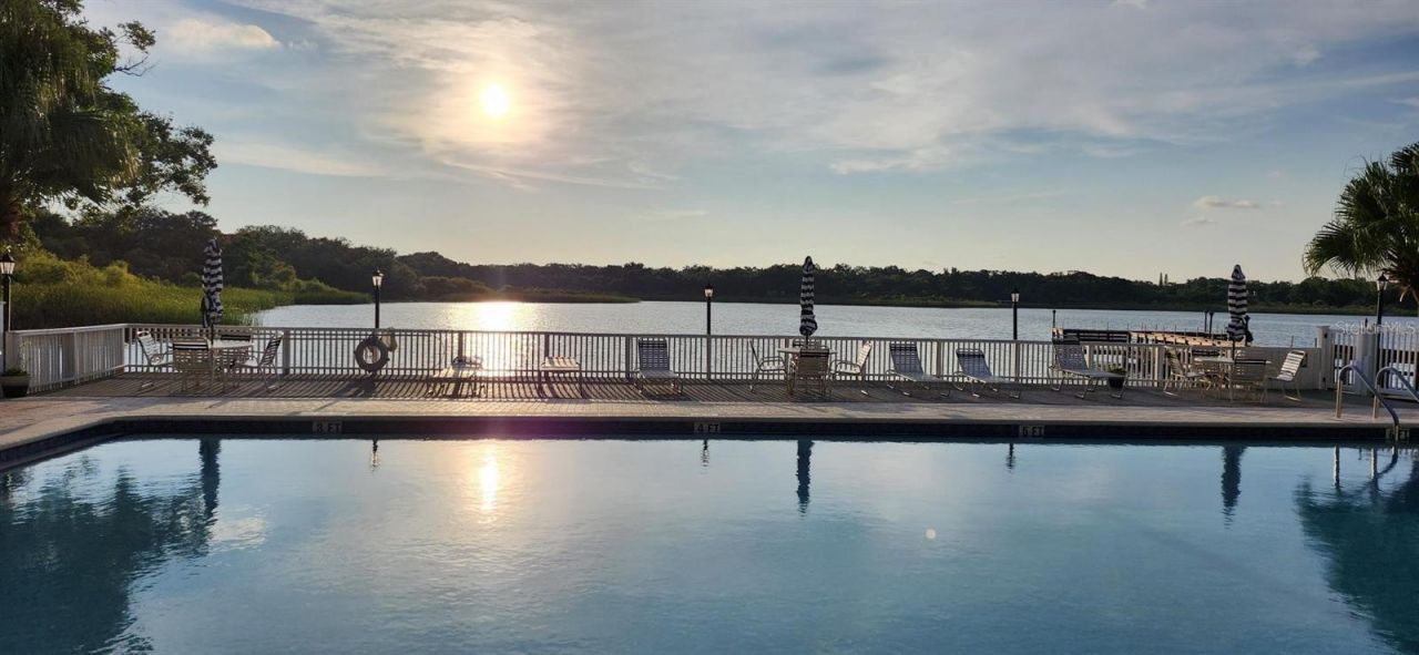 2070 Lakeview Drive, Unit 204, Clearwater, FL 33763 Photo