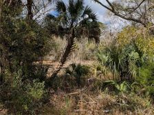Lorie Street, Inglis, FL 34449