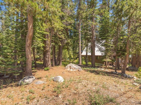 51711 Tamarack Crescent, Soda Springs, CA 95728