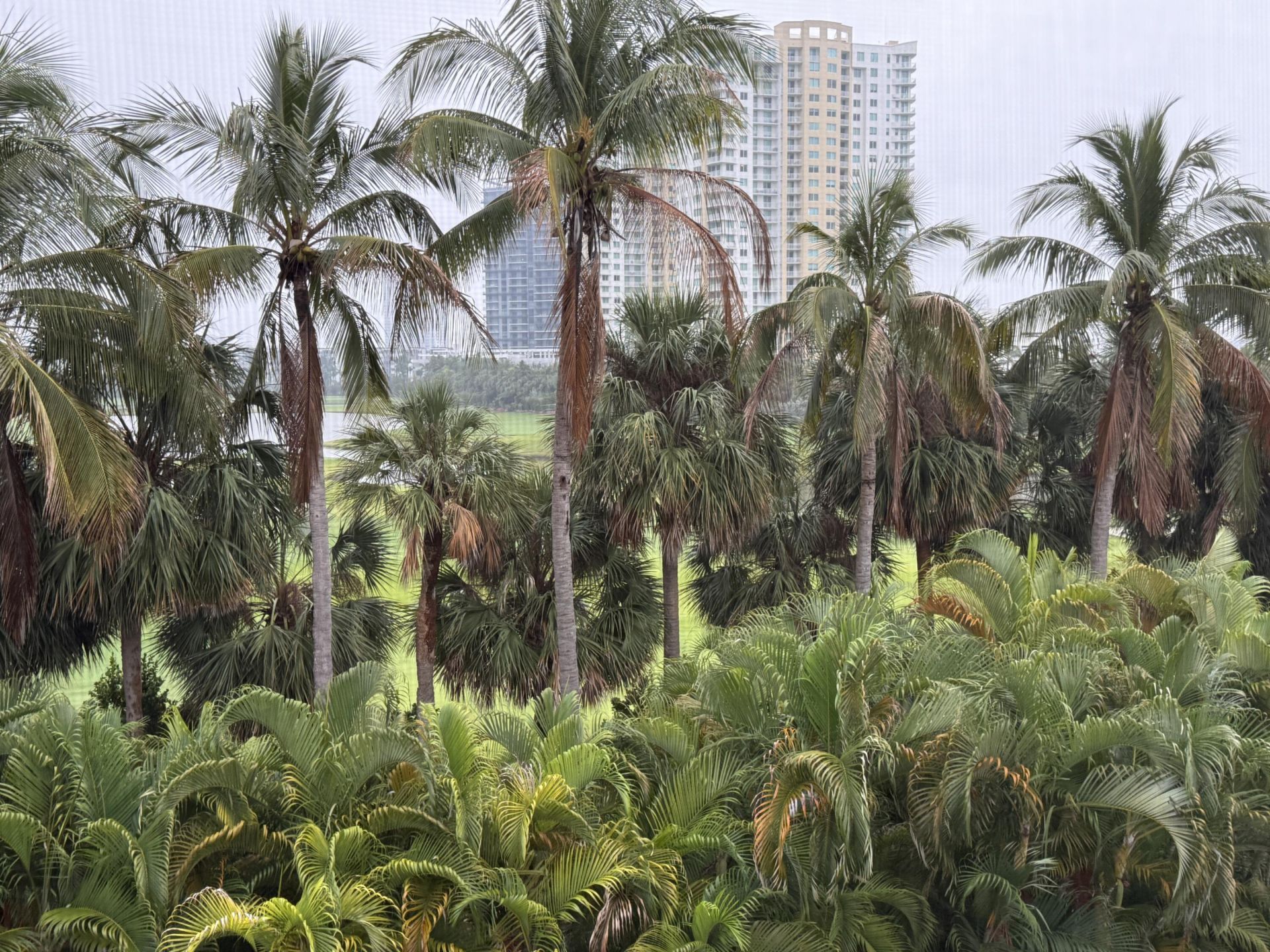 300 NE 14th Avenue, Unit 411, Hallandale Beach, FL 33009 Photo