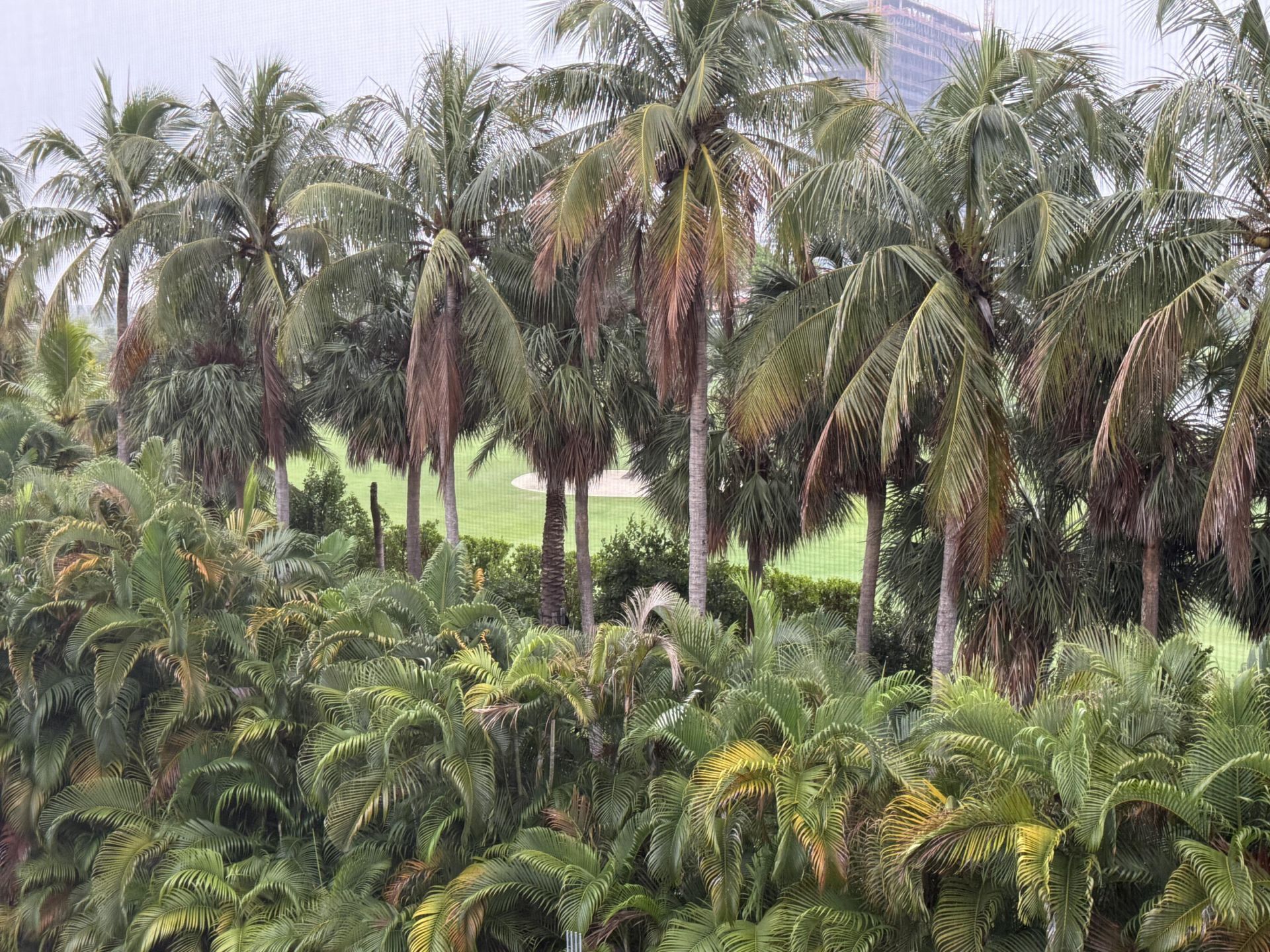 300 NE 14th Avenue, Unit 411, Hallandale Beach, FL 33009 Photo