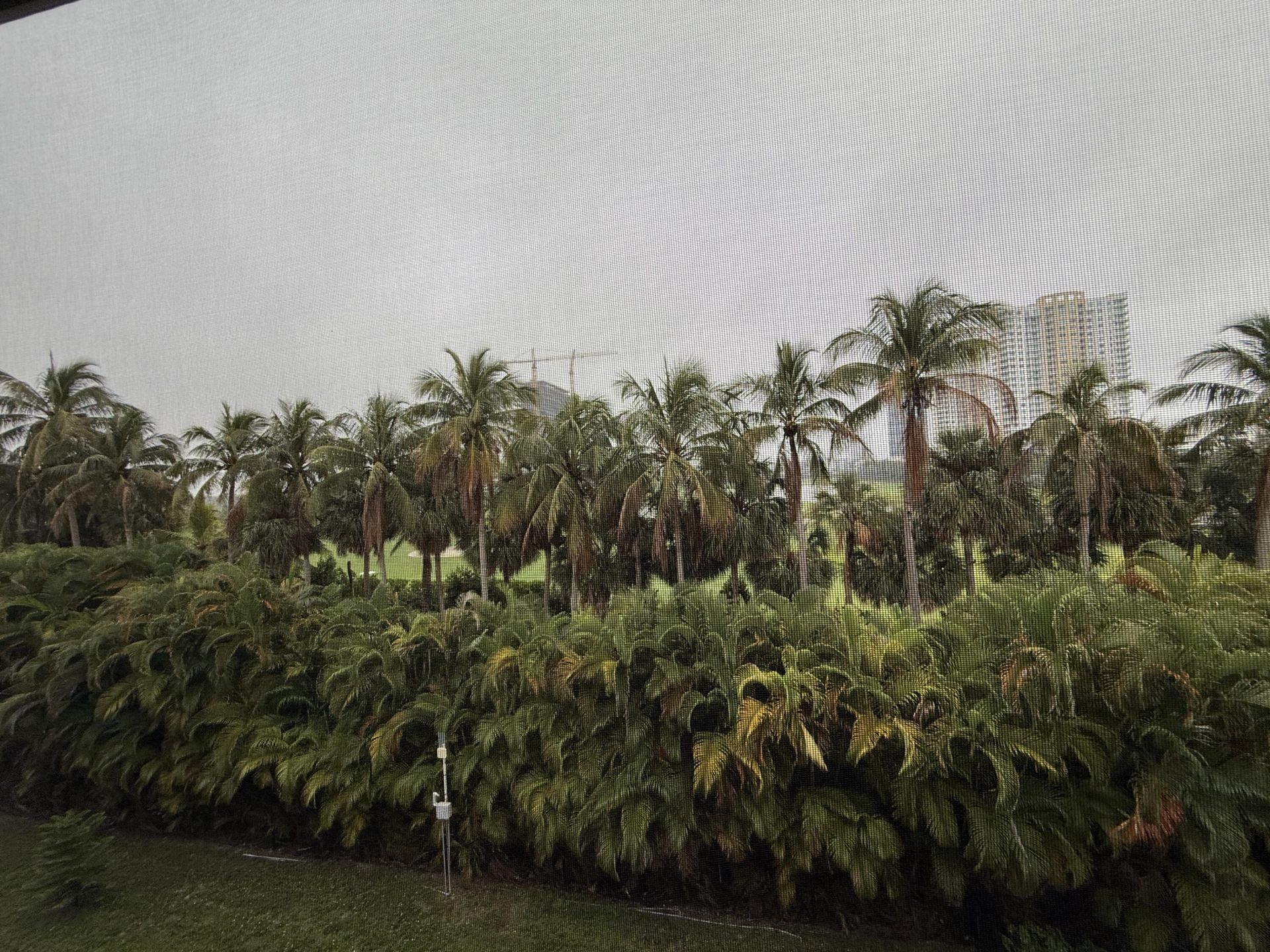 300 NE 14th Avenue, Unit 411, Hallandale Beach, FL 33009 Photo