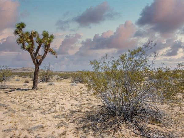 3674 Shawnee, Landers, CA 92285