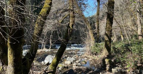 18635 Highway 26, Glencoe, CA 95232 Photo