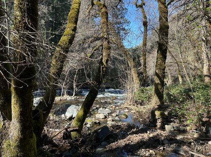 18635 Highway 26, Glencoe, CA 95232 Photo