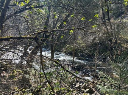 18635 Highway 26, Glencoe, CA 95232 Photo