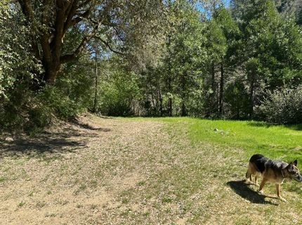 18635 Highway 26, Glencoe, CA 95232 Photo
