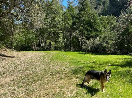 18635 Highway 26, Glencoe, CA 95232 Photo