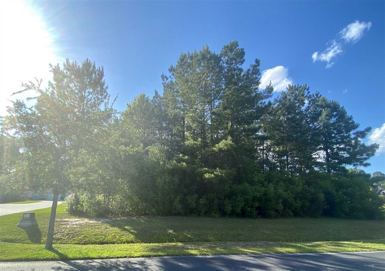 304 Capers Creek Dr. Photo 3