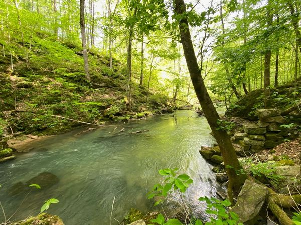 8450 Old Highway 28, Pikeville, TN 37367