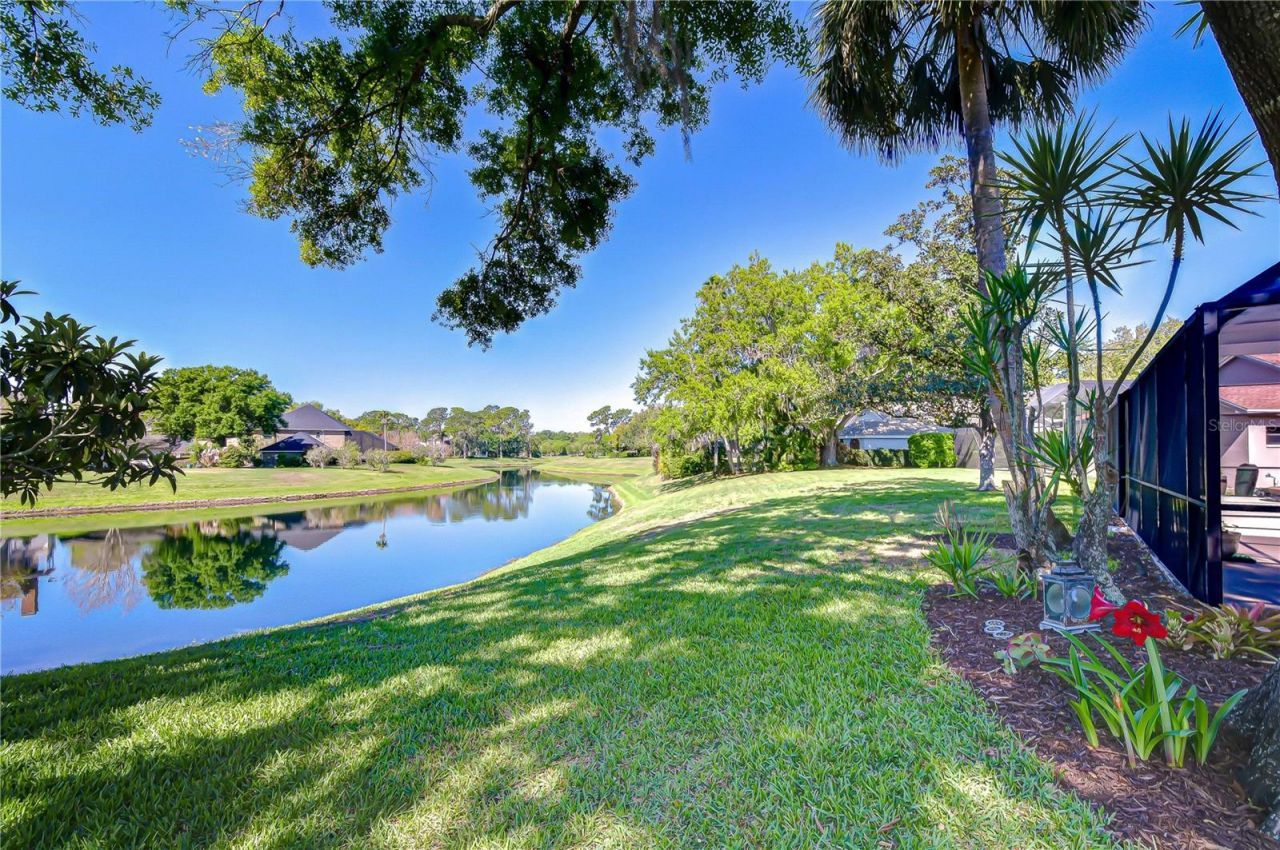 6623 Stonington Drive N, Tampa, FL 33647 Photo