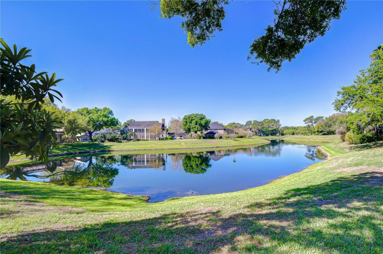 6623 Stonington Drive N, Tampa, FL 33647 Photo
