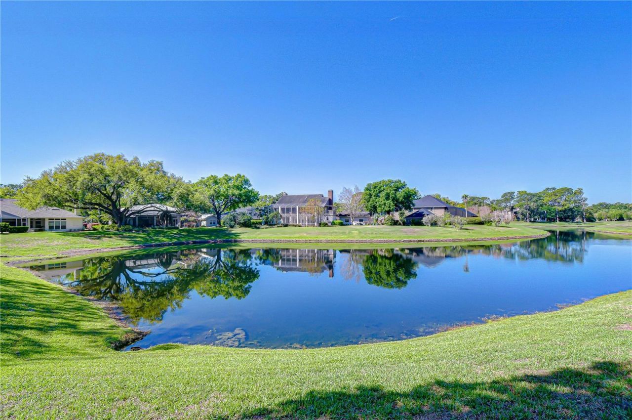 6623 Stonington Drive N, Tampa, FL 33647 Photo