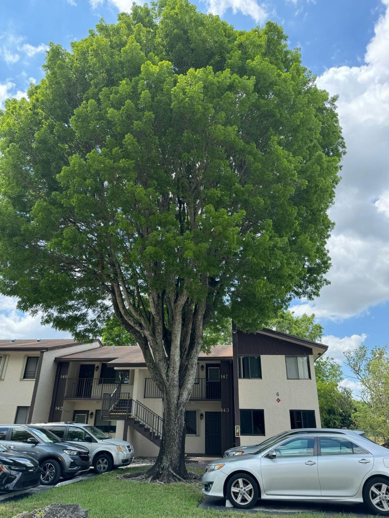 143 S Laurel Drive, Unit 604, Margate, FL 33063 Photo