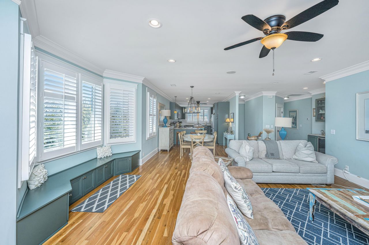 4 Sharks Tooth Circle Photo 13