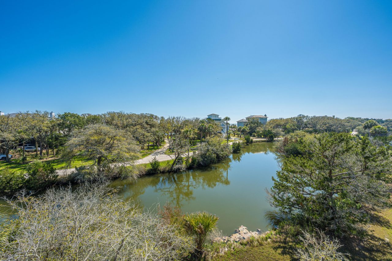 4 Sharks Tooth Circle Photo 23