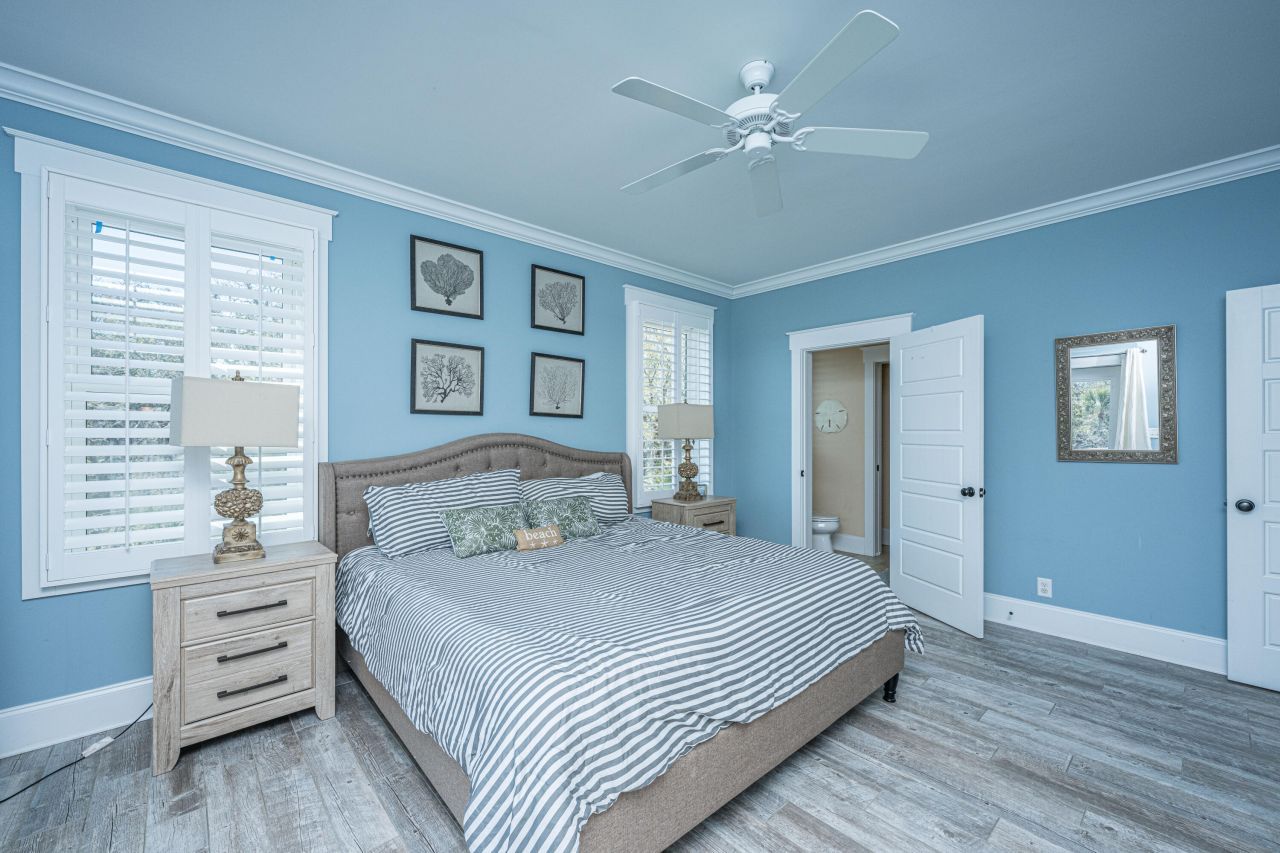 4 Sharks Tooth Circle Photo 45