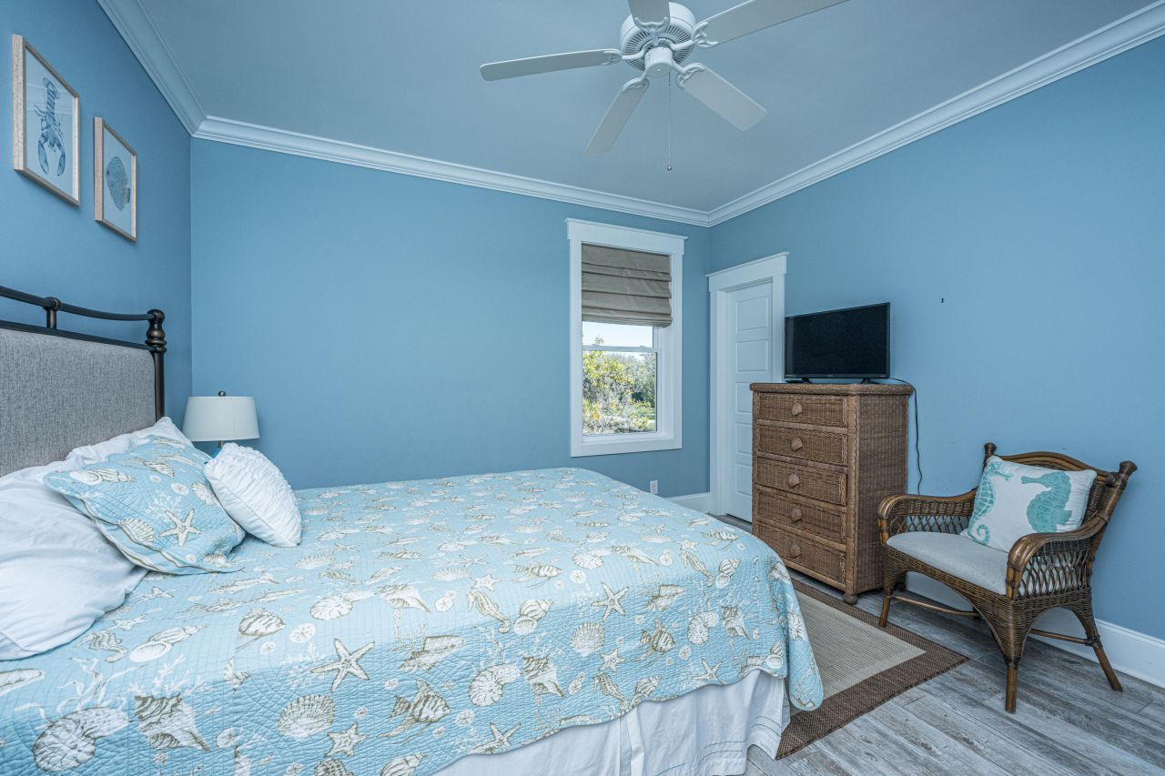 4 Sharks Tooth Circle Photo 55