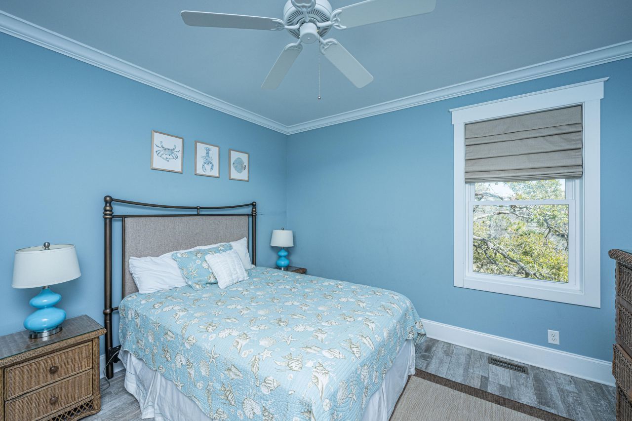 4 Sharks Tooth Circle Photo 56