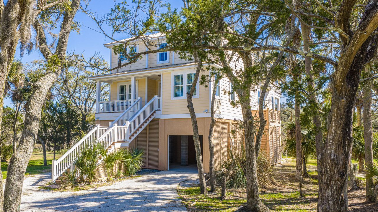 4 Sharks Tooth Circle Photo 64