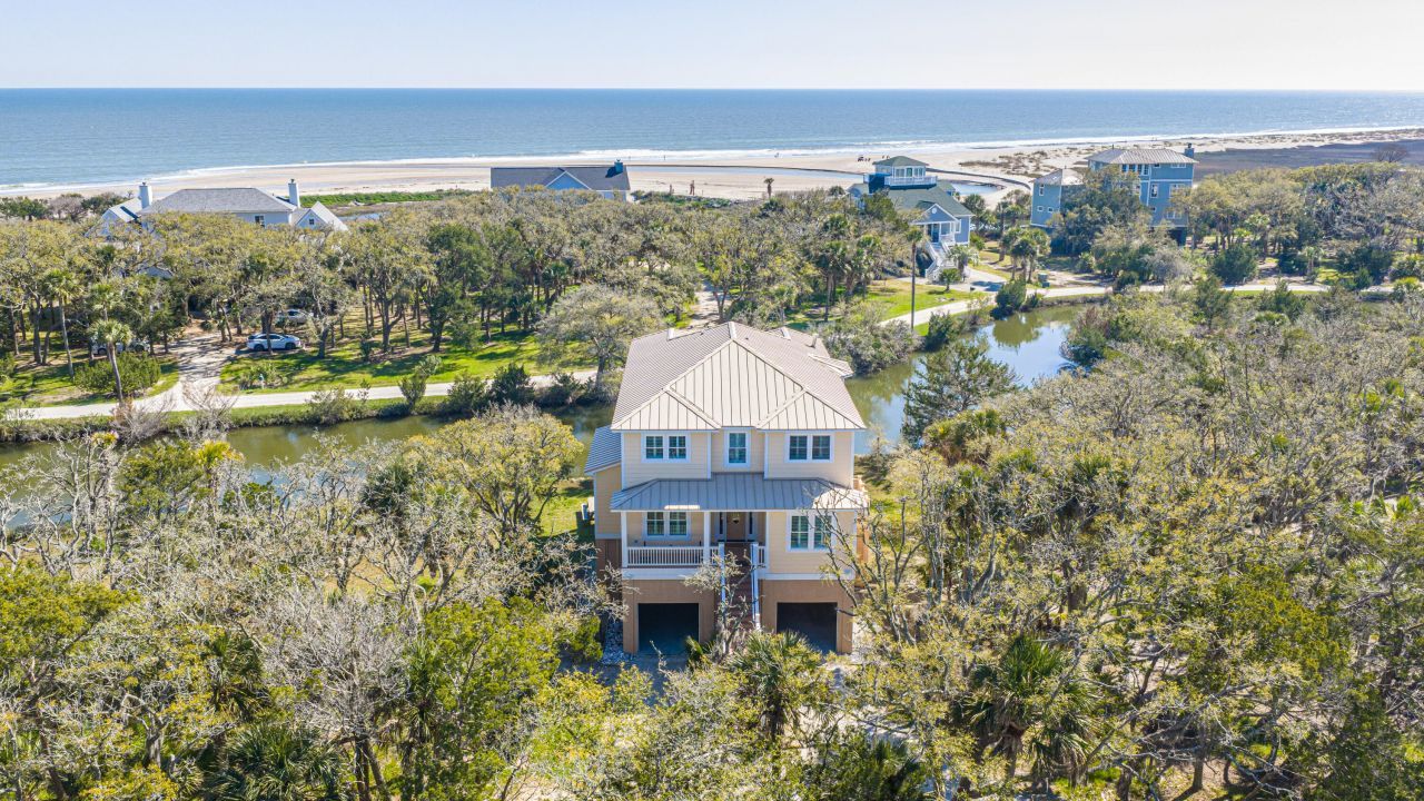 4 Sharks Tooth Circle Photo 65