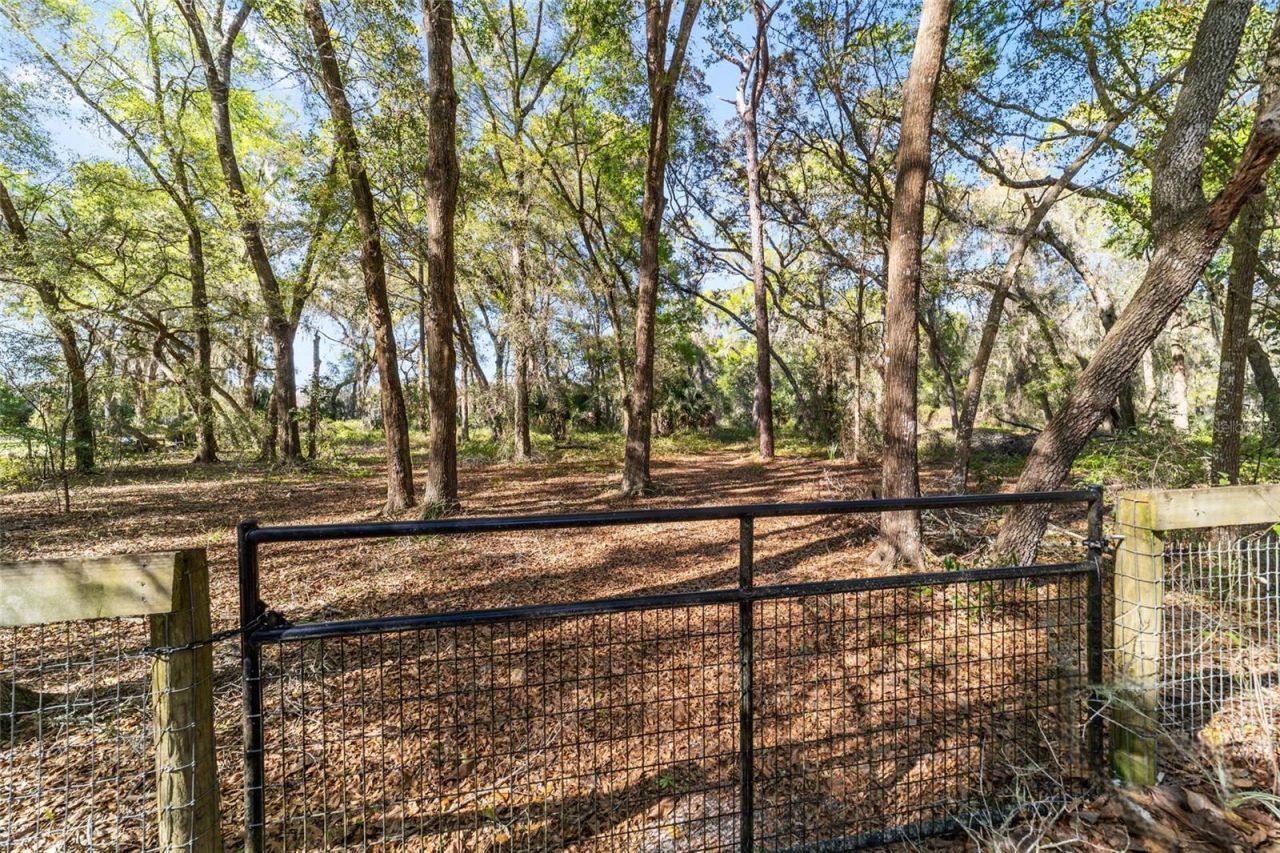 4849 NE 132nd Place , Anthony, FL 32617 Photo