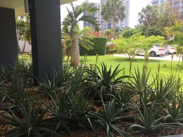 2840 N Ocean Boulevard, Unit 507, Fort Lauderdale, FL 33308 Photo