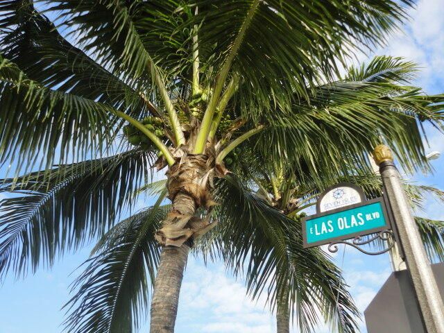 2840 N Ocean Boulevard, Unit 507, Fort Lauderdale, FL 33308 Photo