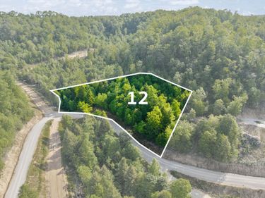 Lot 12 Sleepy Hollow Road, Unit Lot 12, East Bernstadt, KY 40729