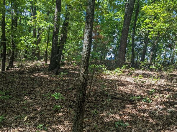 5148 Mo-173, Cape Fair, MO 65624