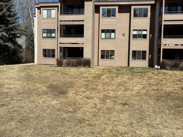 422 Vine Street, Unit 422, Aspen, CO 81611