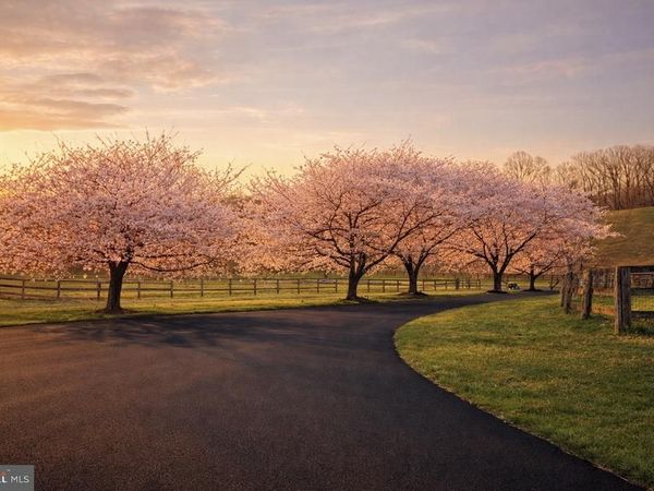 26410 HAINES ROAD , CLARKSBURG, MD 20871