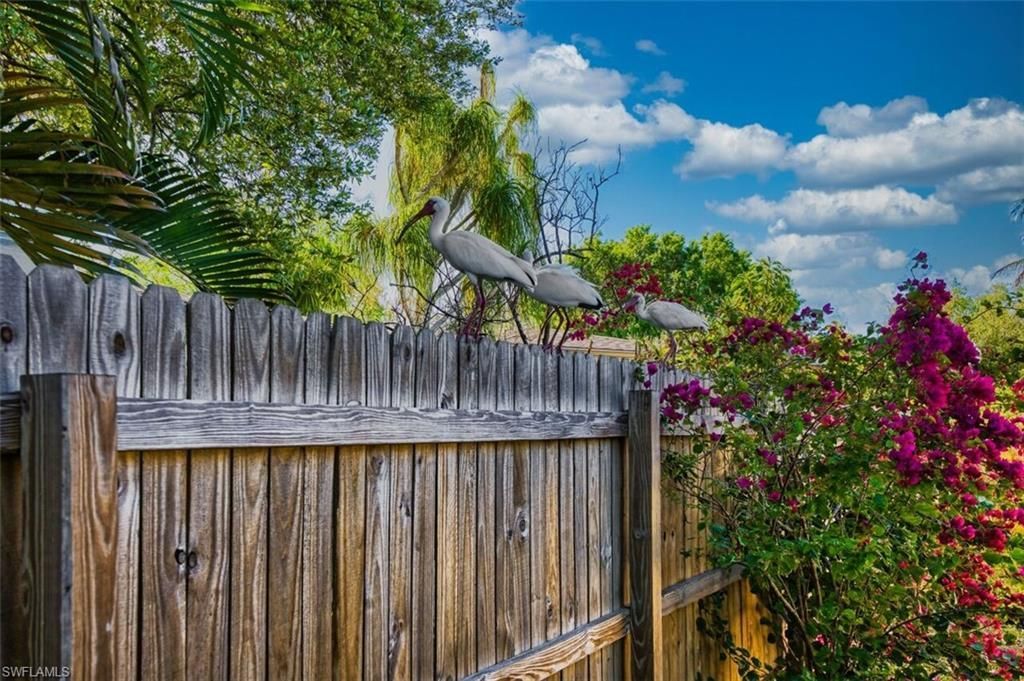 1239 Stadler Dr, Fort Myers, FL 33901 Photo