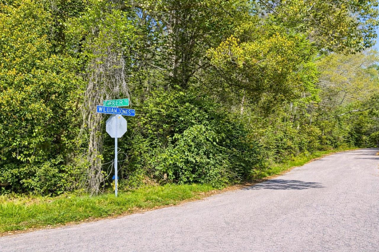 0 Wm Jones Lane, Tallahassee, FL 32308 Photo