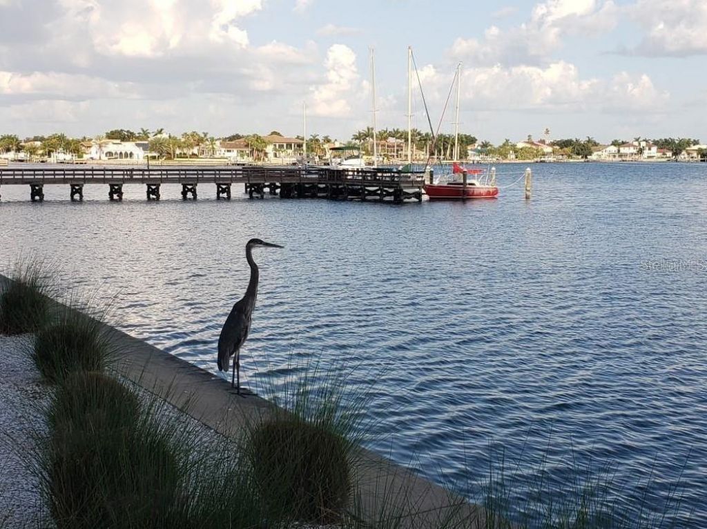 5130 Brittany Drive S, Unit 301, Saint Petersburg, FL 33715 Photo