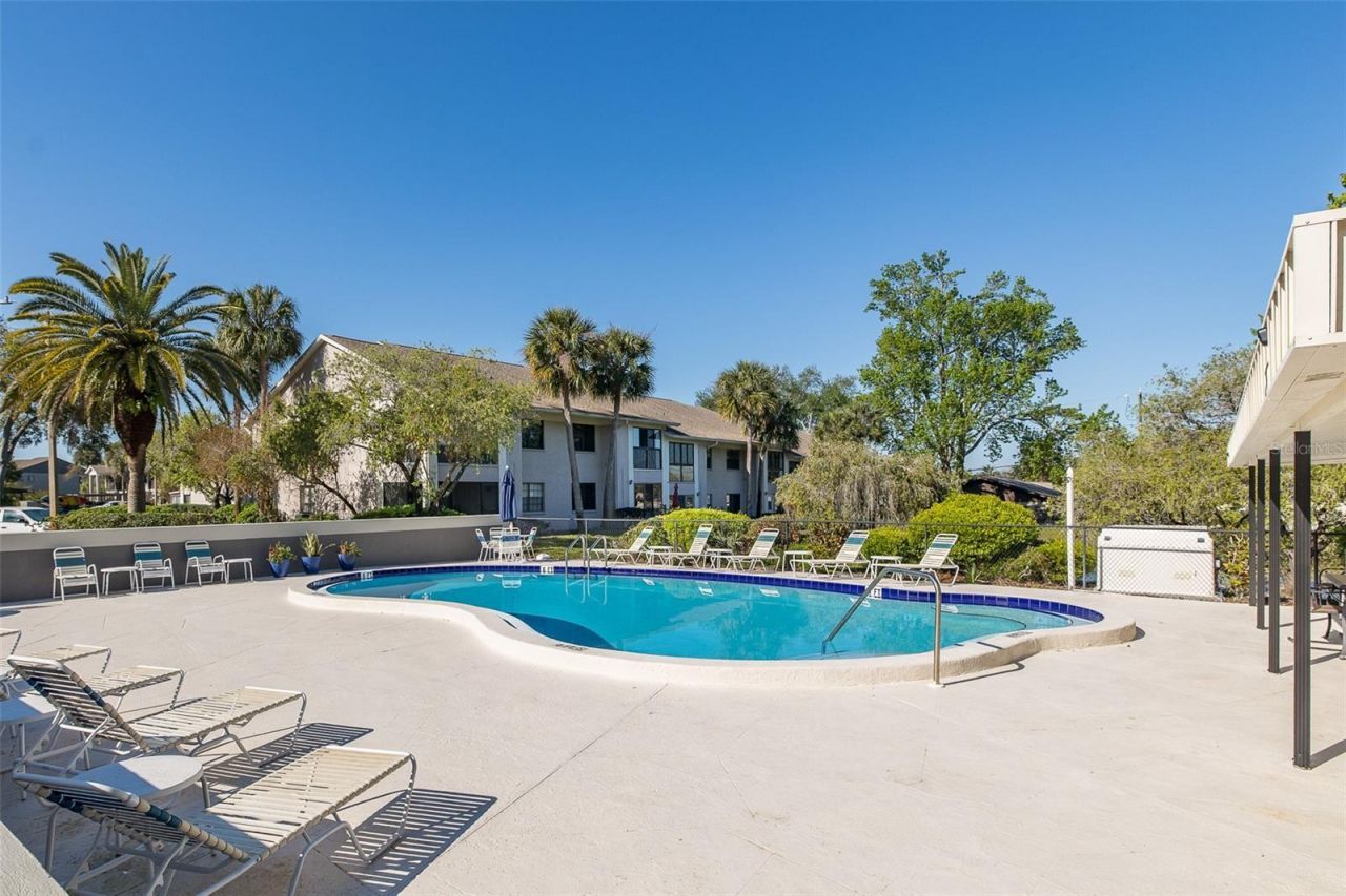 2155 Elm Street, Unit 707, Dunedin, FL 34698 Photo