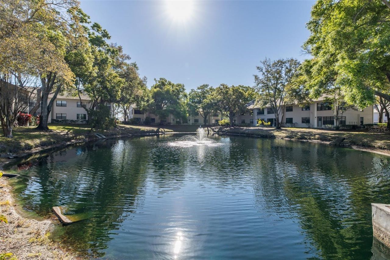 2155 Elm Street, Unit 707, Dunedin, FL 34698 Photo