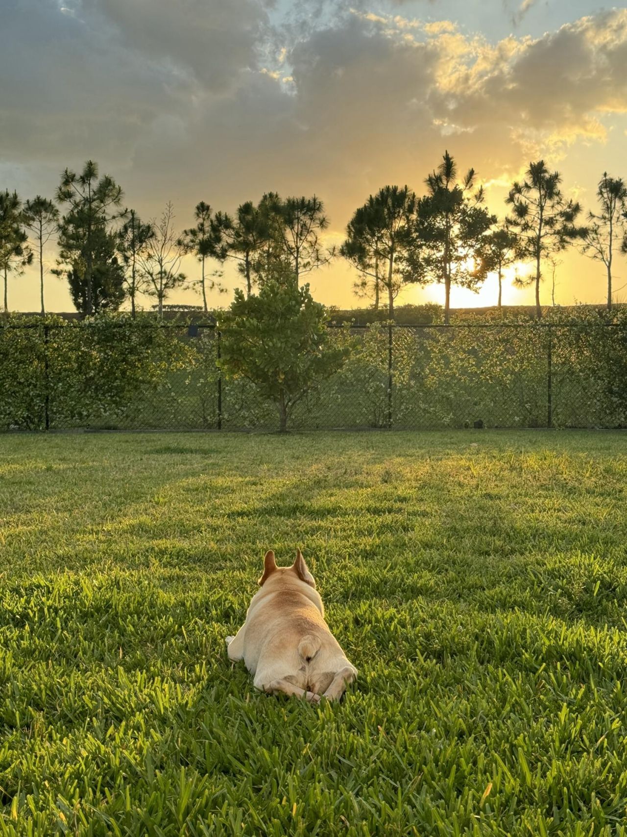 1361 Wandering Willow Way, Loxahatchee, FL 33470 Photo