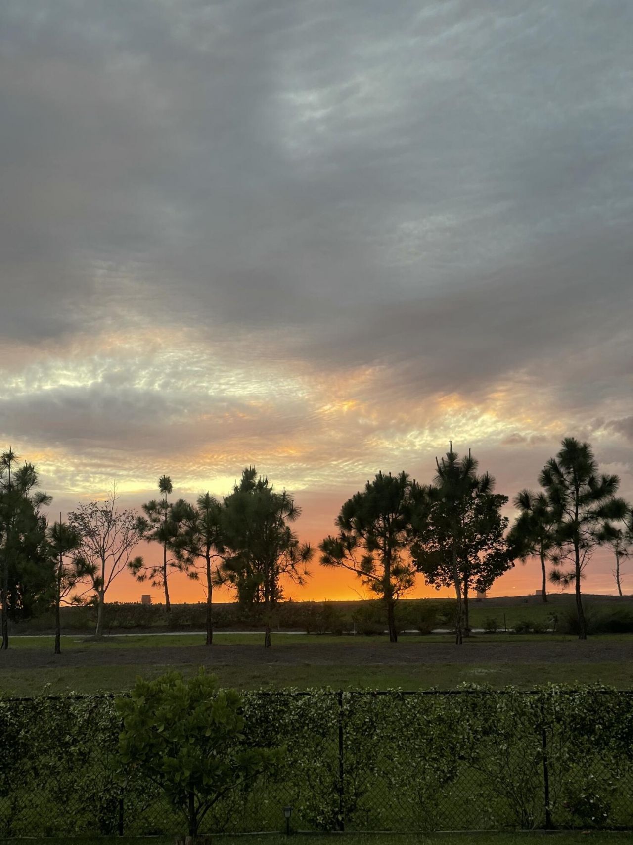 1361 Wandering Willow Way, Loxahatchee, FL 33470 Photo